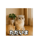 毎日セレブな猫スタンプ（個別スタンプ：4）