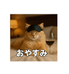 毎日セレブな猫スタンプ（個別スタンプ：6）