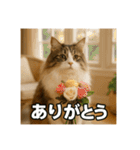 毎日セレブな猫スタンプ（個別スタンプ：7）