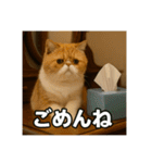 毎日セレブな猫スタンプ（個別スタンプ：8）
