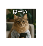毎日セレブな猫スタンプ（個別スタンプ：9）