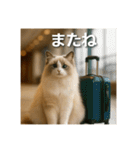 毎日セレブな猫スタンプ（個別スタンプ：10）