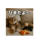 毎日セレブな猫スタンプ（個別スタンプ：14）
