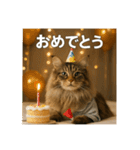 毎日セレブな猫スタンプ（個別スタンプ：17）