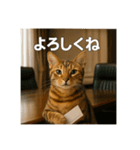 毎日セレブな猫スタンプ（個別スタンプ：18）