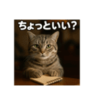 毎日セレブな猫スタンプ（個別スタンプ：22）