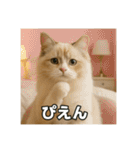 毎日セレブな猫スタンプ（個別スタンプ：26）