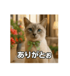 毎日セレブな猫スタンプ（個別スタンプ：27）