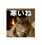 毎日セレブな猫スタンプ（個別スタンプ：29）