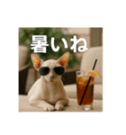 毎日セレブな猫スタンプ（個別スタンプ：30）