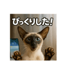 毎日セレブな猫スタンプ（個別スタンプ：33）