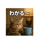 毎日セレブな猫スタンプ（個別スタンプ：34）