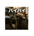 毎日セレブな猫スタンプ（個別スタンプ：35）