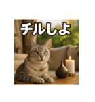 毎日セレブな猫スタンプ（個別スタンプ：36）