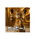 毎日セレブな猫スタンプ（個別スタンプ：38）