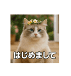毎日セレブな猫スタンプ（個別スタンプ：39）