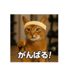 毎日セレブな猫スタンプ（個別スタンプ：40）