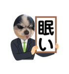 シニア犬マロン君のスタンプ（個別スタンプ：9）