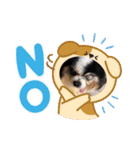 シニア犬マロン君のスタンプ（個別スタンプ：13）