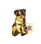 シニア犬マロン君のスタンプ（個別スタンプ：15）