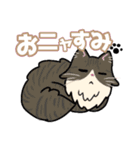 日常使い♡可愛い猫スタンプ【ろくちゃん】（個別スタンプ：2）
