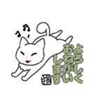 日常使い♡可愛い猫スタンプ【ろくちゃん】（個別スタンプ：5）