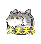 日常使い♡可愛い猫スタンプ【ろくちゃん】（個別スタンプ：6）