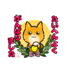 日常使い♡可愛い猫スタンプ【ろくちゃん】（個別スタンプ：7）