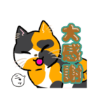日常使い♡可愛い猫スタンプ【ろくちゃん】（個別スタンプ：9）