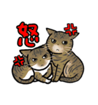 日常使い♡可愛い猫スタンプ【ろくちゃん】（個別スタンプ：11）