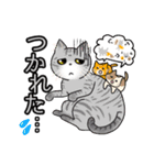 日常使い♡可愛い猫スタンプ【ろくちゃん】（個別スタンプ：12）