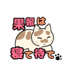 日常使い♡可愛い猫スタンプ【ろくちゃん】（個別スタンプ：14）
