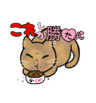 日常使い♡可愛い猫スタンプ【ろくちゃん】（個別スタンプ：16）