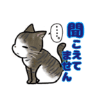 日常使い♡可愛い猫スタンプ【ろくちゃん】（個別スタンプ：17）