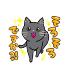 日常使い♡可愛い猫スタンプ【ろくちゃん】（個別スタンプ：24）