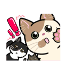 日常使い♡可愛い猫スタンプ【ろくちゃん】（個別スタンプ：25）
