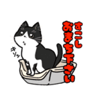 日常使い♡可愛い猫スタンプ【ろくちゃん】（個別スタンプ：28）