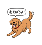 ゴールデンレトリバー (ダークゴールド)（個別スタンプ：2）