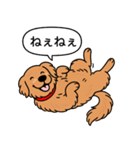 ゴールデンレトリバー (ダークゴールド)（個別スタンプ：3）