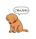 ゴールデンレトリバー (ダークゴールド)（個別スタンプ：4）