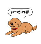 ゴールデンレトリバー (ダークゴールド)（個別スタンプ：5）