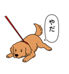 ゴールデンレトリバー (ダークゴールド)（個別スタンプ：8）