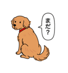 ゴールデンレトリバー (ダークゴールド)（個別スタンプ：12）