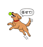 ゴールデンレトリバー (ダークゴールド)（個別スタンプ：13）