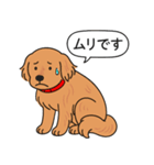 ゴールデンレトリバー (ダークゴールド)（個別スタンプ：14）