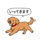 ゴールデンレトリバー (ダークゴールド)（個別スタンプ：17）