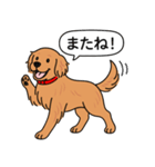 ゴールデンレトリバー (ダークゴールド)（個別スタンプ：18）
