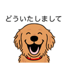 ゴールデンレトリバー (ダークゴールド)（個別スタンプ：22）