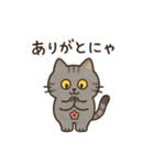 サバニャンの日常スタンプ（個別スタンプ：1）