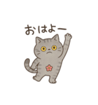 サバニャンの日常スタンプ（個別スタンプ：5）